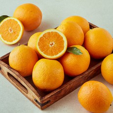 더네이처 스페인 미드나잇 오렌지, 1개, 3kg