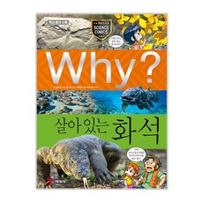 화석파노라마