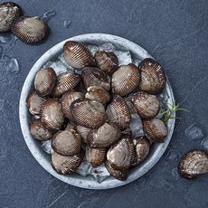 바다자리 생물 피꼬막 (냉장), 1.5kg, 1개