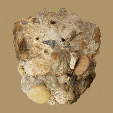 카더가든 - 부재 EP 앨범, 1CD