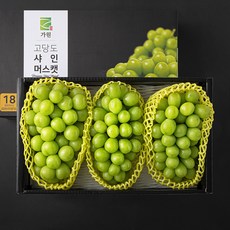 가원 고당도 비파괴선별 샤인머스캣, 1박스, 2.4kg(3수)