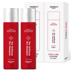 아케이 더마 노세범 휴대용 드라이샴푸 프레쉬 우디머스크향, 110ml, 2개