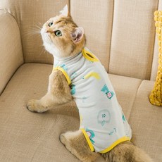 4b1e84794f2e40c3acda5df76d5d5ad6.jpg