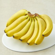스위트마운틴 스미후루 바나나, 1개, 1.4kg 내외