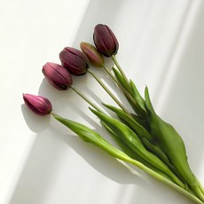진심디자인