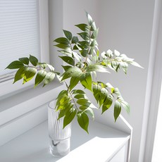블루밍앤미 아카시아 대형 조화 75cm, 그린, 1개