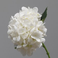 쏘앤영 수국 조화 장식품 2p, 화이트