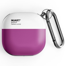 버즈2노티드케이스