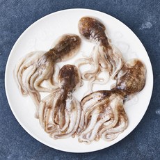 바다림 태안 봄제철 생물 쭈꾸미 (냉장), 500g(4~8미), 1개