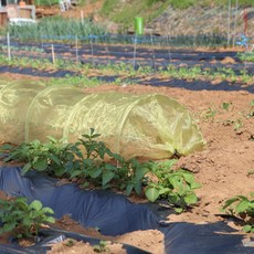 HorTus Garden Coldsa一鍵式小型防蟲屋, 1個