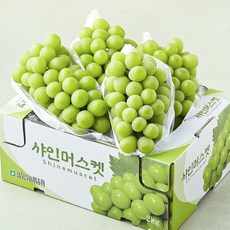 정가네 막퍼주는 집 샤인머스캣, 1개, 2kg(3~4수)