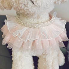 진주넥카라