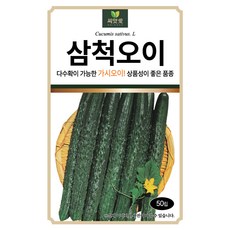 다농 씨앗애 삼척오이 씨앗 50p, 1개 1개