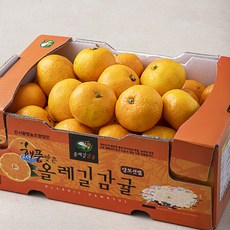 올레길감귤 해풍맞은 올레길 Ai선별 타이벡 12Brix 감귤, 2kg, 1개
