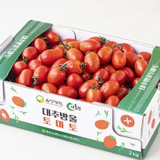 다올찬 음성명작 대추방울토마토, 2kg, 1박스