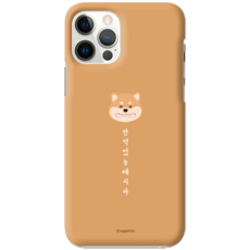 아이폰12케이스정품