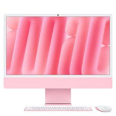 Apple 아이맥 24 M6칩, 핑크, M6 10코어, 10코어 GPU, 16GB, 256GB, 스탠다드 글래스