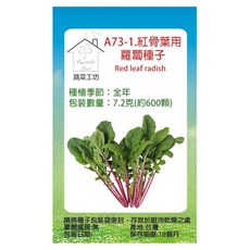 蔬菜工坊 A73-1 紅骨葉用蘿蔔種子7.2g 600顆, 1個