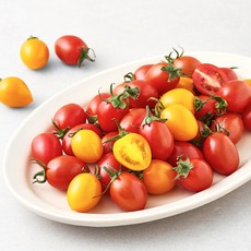 제이드가든 무농약 컬러대추방울토마토, 1kg, 1개