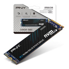 PNY SSD, CS1031, 256GB