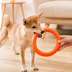 REDPUPPY 狗狗飛行環, 1個, 隨機出貨