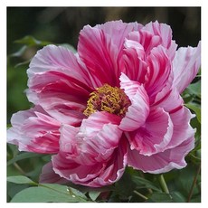 원형보석십자수