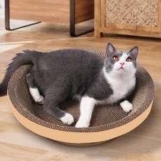 딩동펫 고양이 특대형 요람 스크래쳐 원형, 혼합색상, 1개