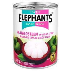TWIN ELEPHANTS 雙象地球牌 糖水山竹, 565公克, 565g, 1罐