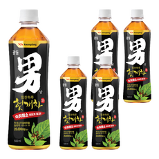 Kwangdong 廣東 男茶 枳椇子茶 500ml, 5瓶