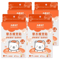 HiBIS 木槿花 生薑草本暖宮貼 Set 3片, 45℃ 持續溫暖10小時, 4盒