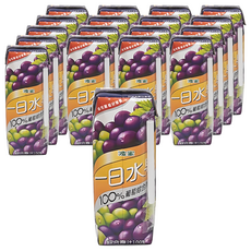 波蜜 一日水果 100% 葡萄綜合果汁, 250ml, 18入