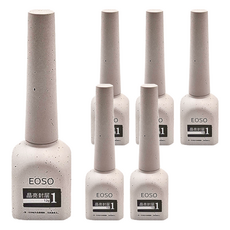 EOSO 封層 晶亮封層 12g, 1號, 6瓶