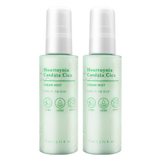 TONYMOLY 魚腥草積雪草水潤乳霜噴霧 110ml - 舒緩護理, 2瓶