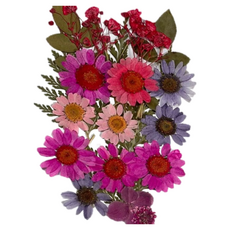 A-ONE 匯旺 真花壓花 中花包 Set 2包-花園錦簇BB09, BB09花團錦簇