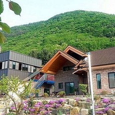 강원도화천토마토
