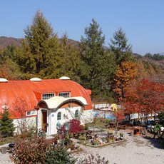 블루캐니언풀사이드뷔페