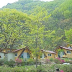 울릉도대아리조트