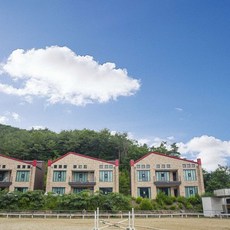 강릉애견동반모텔