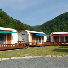 포항골든듀