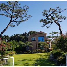 타샤의정원