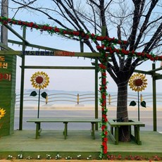 영종도요트