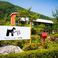 애견동반숙소 TOP01