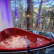 [횡성군] 횡성 숲속의연인별펜션(수영장,노천탕)