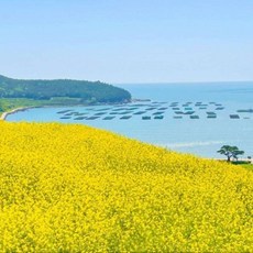[완도군] 완도 청산도바다풍경펜션