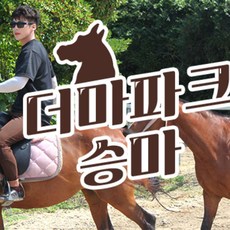 제주시승마체험