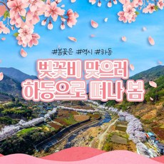 [경남] ★03월30일,04월06일 출발 유력★ 하동 벚꽃여행 쌍계사-최참판댁