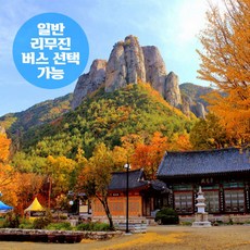 [경북] 청송 주왕산 단풍+주산지 비경 트레킹 가을 당일여행 (일반/리무진버스 선택가능)/서울경기出