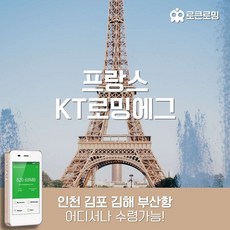 [프랑스] 프랑스 KT로밍에그