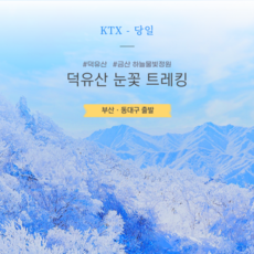 [덕유산KTX] ★매일 출발★부산/울산/동대구 눈꽃여행 덕유산 향적봉 곤도라 트래킹 기차여행