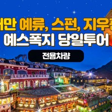 [대만] 예스폭지 데이투어[전용차량]